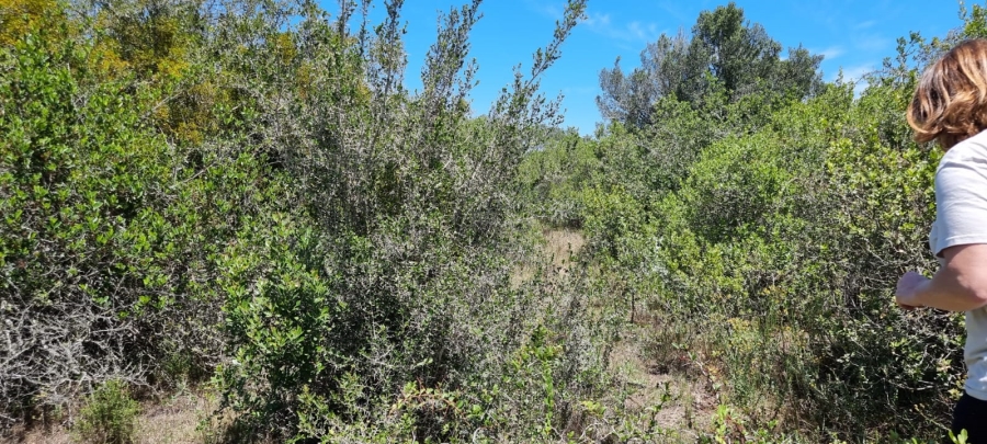  Bedroom Property for Sale in Knysna Rural Western Cape